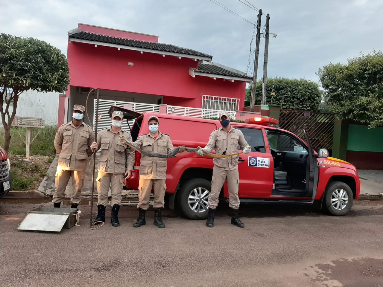 Corpo de Bombeiros captura cascavel de 1m em área residencial em